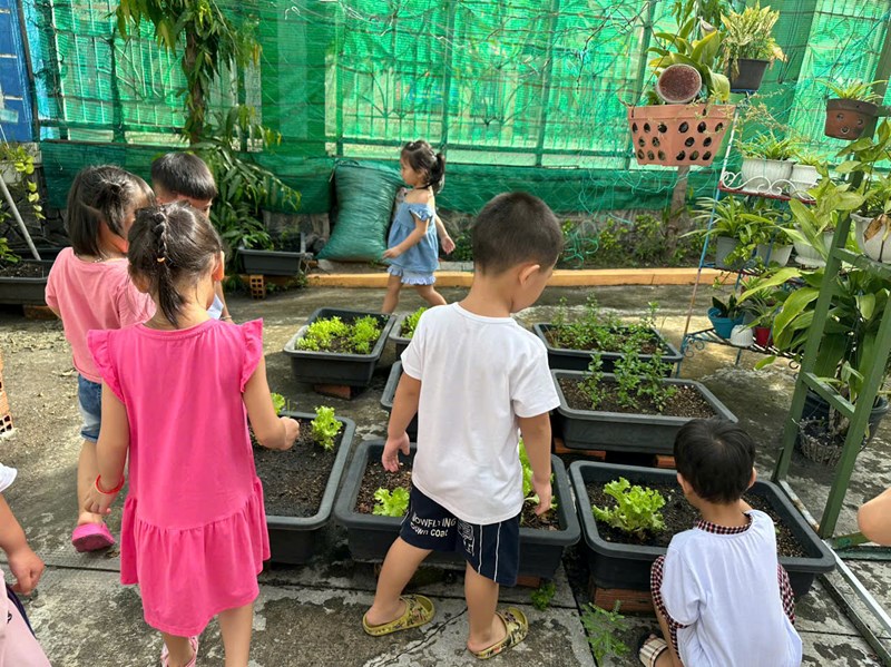 Bé tham quan và chăm sóc vườn rau - cùng các em lớp Sơn ca 1