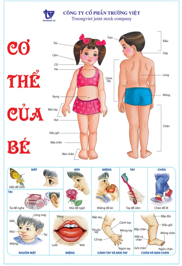 Số 8: Không muốn về nhà | Giáo dục giới tính cho trẻ