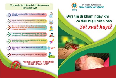 Tình hình dịch bệnh sốt xuất huyết, tay chân miệng và sởi tại TP. Hồ Chí Minh tính đến tuần 19/2025