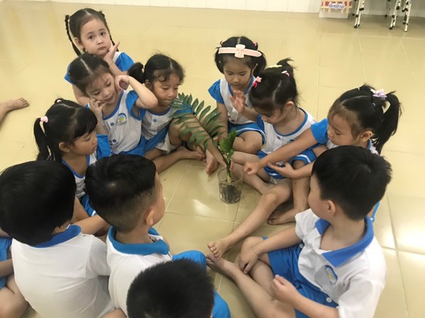 Nào chúng mình cùng các bạn lớp Chồi 3 khám phá về các bộ phận của cây nhé!