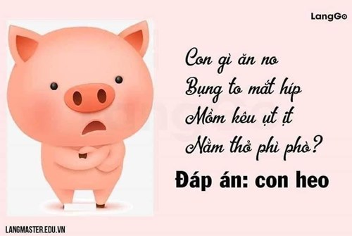PTNN : Câu đố bằng thơ về chủ đề động vật