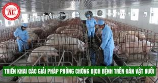 Luật thú y