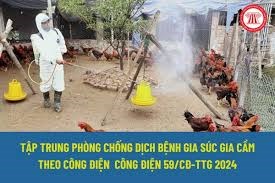 Công điện về việc tập trung triển khai đồng bộ, quyết liệt, có hiệu quả các giải pháp phòng, chống dịch bệnh gia súc, gia cầm
