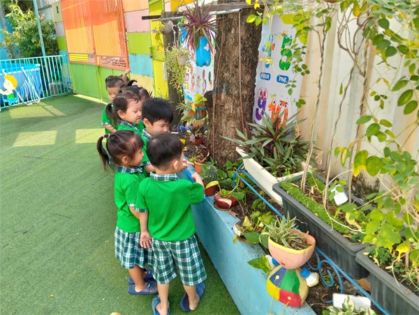 Vui chơi ngoài trời của các bé lớp Mầm 2