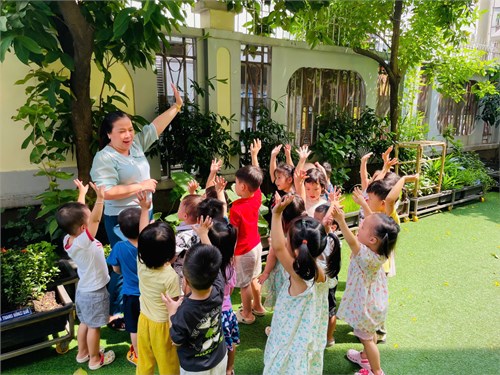 Các bé lớp Mầm 4 quan sát vườn rau