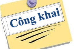 Công khai về kết quả lựa chọn đối tác liên kết học năng khiếu Nhà trẻ.