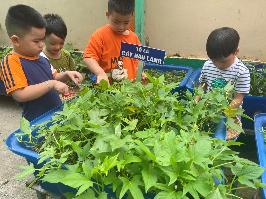 Ảnh đại diện