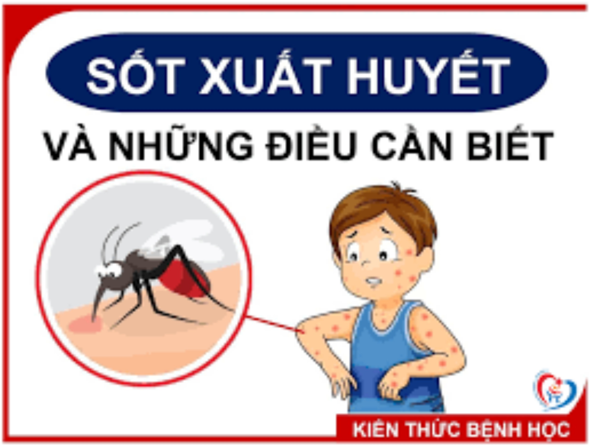 Trường Mầm Non 2 gửi đến quý phụ huynh kiến thức tuyên truyền về bệnh sốt xuất huyết.