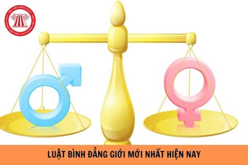 Luật số 73/2006/QH11 của Quốc hội: Luật Bình đẳng giới
