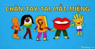 Câu chuyện   chân, tay, tai, mắt, miệng 