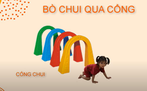 Bò chui qua cổng