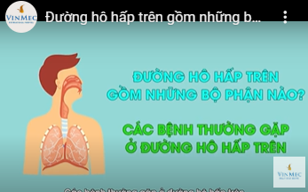 Các bệnh hô hấp trên cho trẻ