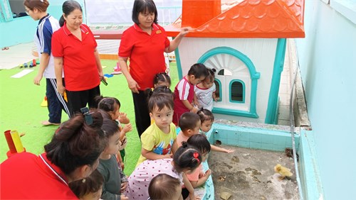 Các bé tìm vật giấu trong cát