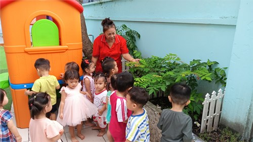Cô đang trò chuyện  và quan sát với trẻ về các cây