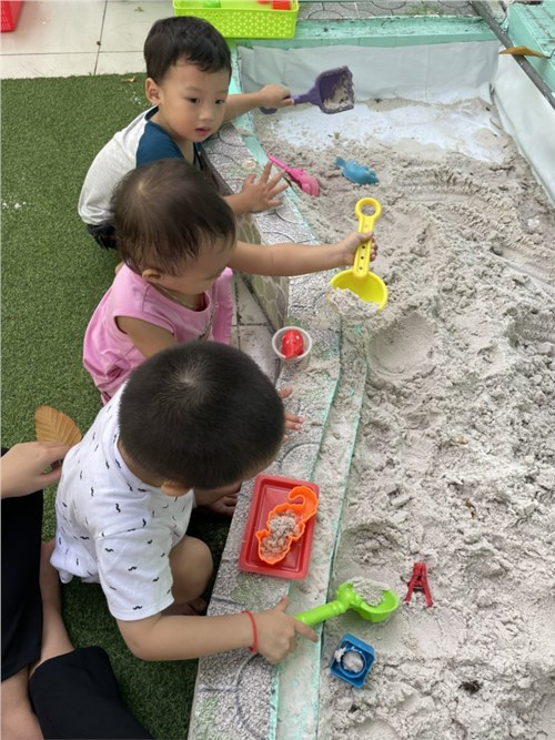 Hoạt Động Vui Chơi Ngoài Trời