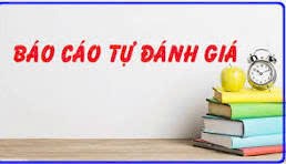 Báo cáo tự đánh giá năm 2023-2024