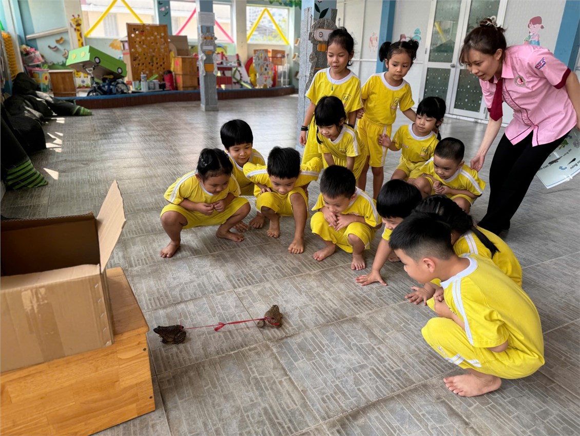 Pooh 2 - một ngày cùng lớp mình vui chơi quan sát ngoài trời