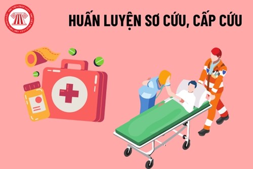 Tập huấn sơ cấp cứu cho tập thể CB-GV-NV năm học 2024-2025