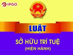 Trường Mầm Non 8 - Luật sở hữu trí tuệ