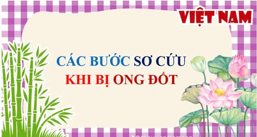 Các bước sơ cứu khi bị ong đốt