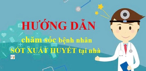 Hướng dẫn chăm sóc bệnh nhân Sốt xuất huyết tại nhà