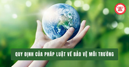 Quy định của pháp luật về bảo vệ môi trường