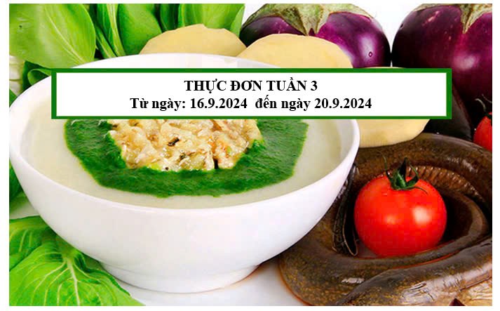 THỰC ĐƠN TUẦN 3
Từ ngày: 16.9.2024  đến ngày 20.9.2024