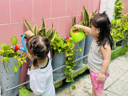 Mầm non Hoa Mai Quận 3 - Hoạt động vui chơi ngoài trời - Nhóm 25-36 tháng