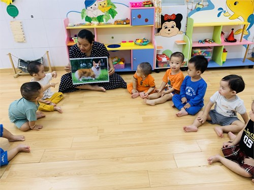 Mầm non Hoa Mai Quận 3
NBTN con chó
 nhóm 13-24 tháng