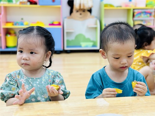 Mầm non Hoa Mai
NBTN Quả chuối
Nhóm 13-24 tháng