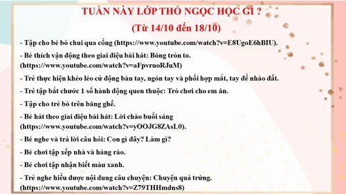 Kế hoạch chăm sóc giáo dục lớp Thỏ Ngọc Tuần 3 tháng 10 năm 2024