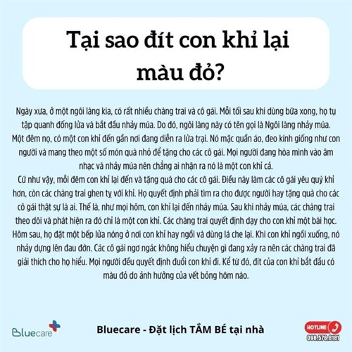 Chuyện vui: Tại sao đít con khỉ lại màu đỏ