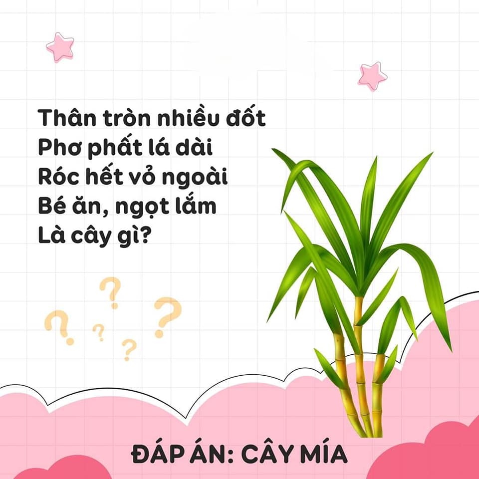 Câu đố vui
