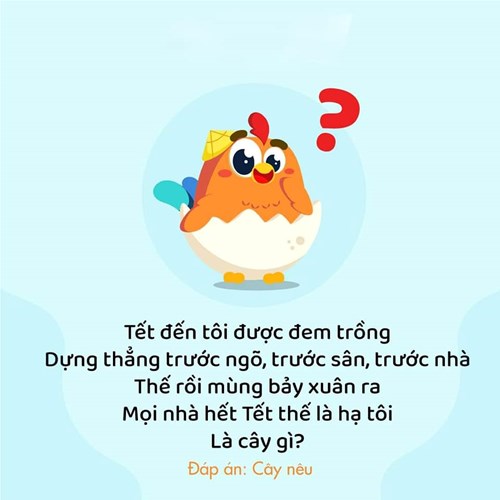 Câu đố vui