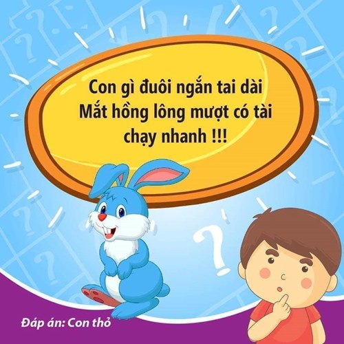 Câu đố vui