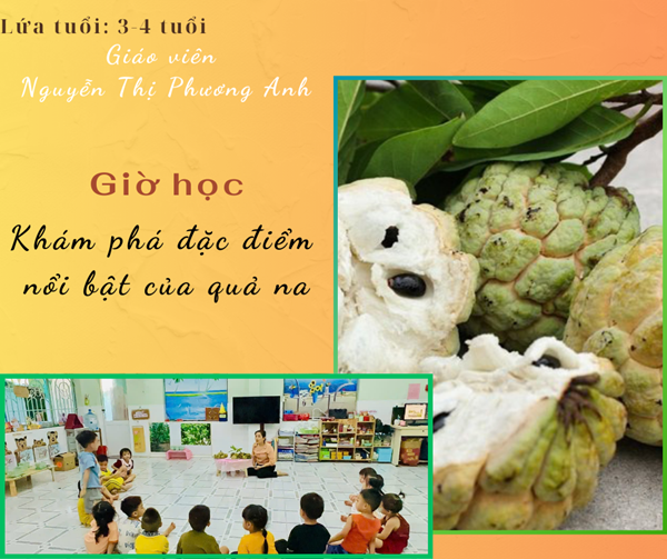 Giờ học Môi trường xung quanh - Lứa tuổi 3-4 tuổi