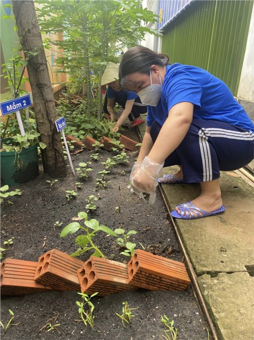Tết trồng cây đời đời nhớ ơn bác hồ