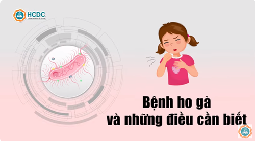 Bệnh ho gà và những điều cần biết