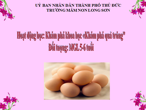 Khám phá quả trứng