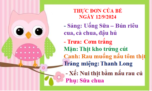 Thực đơn -nguyên liệu thực phẩm ngày 12/09/2024