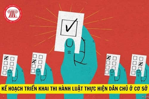 Trường Mầm non Mạ Non công khai Luật thực hiện dân chủ cơ sở tại đơn vị