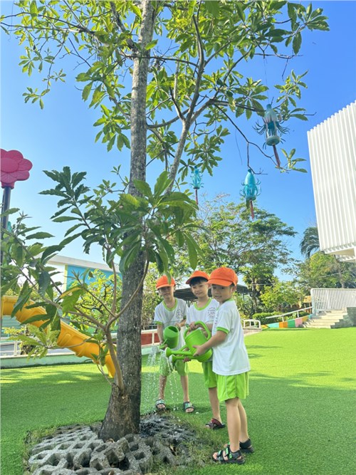 Các bé Trường Mầm non Mạ Non chăm sóc vườn cây-hoa của trường