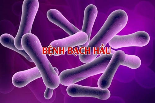 Tuyên truyền về Bệnh Bạch hầu: Tác nhân lây bệnh và Thời kỳ ủ bệnh