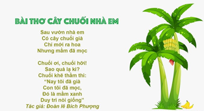 Bài thơ: Cây chuối nhà em