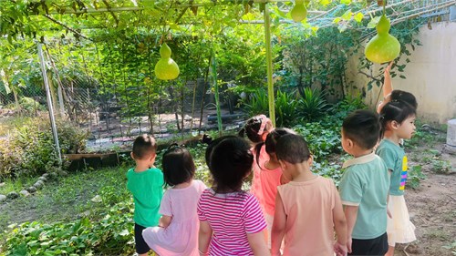 Hoạt động vui chơi ngoài trời của các bé lớp Nhà trẻ 2