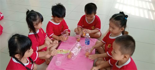 Hoạt động thử nghiệm trứng nổi trứng chìm lớp chồi 4