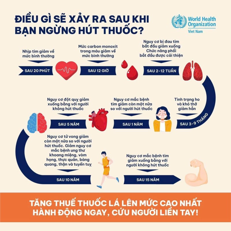 Điều gì sẽ xảy ra khi bạn ngừng hút thuốc
