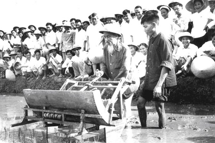 Ảnh đại diện