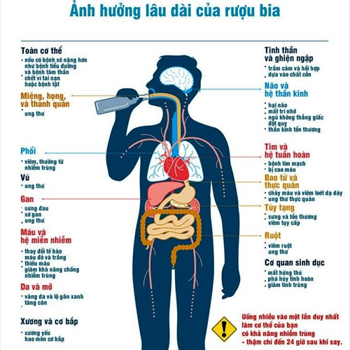 Tác hại sử dụng rượu, bia đối với sức khỏe