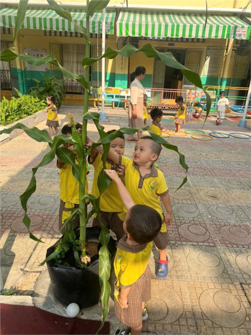 Hoạt động vui chơi ngoài trời